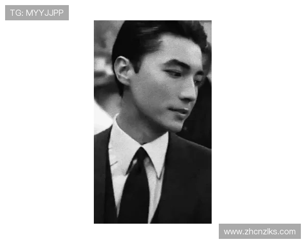 尊龙手机壁纸高清大图精选，打造专属尊贵手机界面