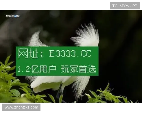 凯时网址官方地址的用户评价与反馈，了解平台的真实使用体验