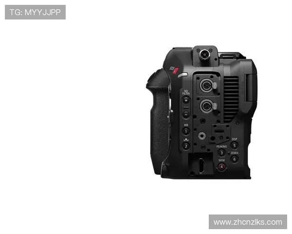 尊龙z6.com电游官网提供专业的客户支持与安全保障确保玩家权益